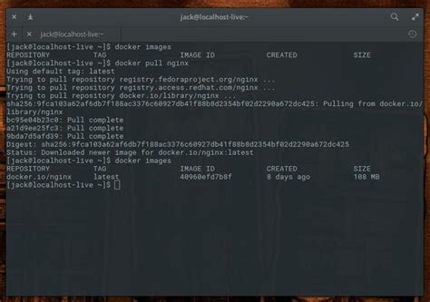 Linux 19C Docker Image 的图像结果