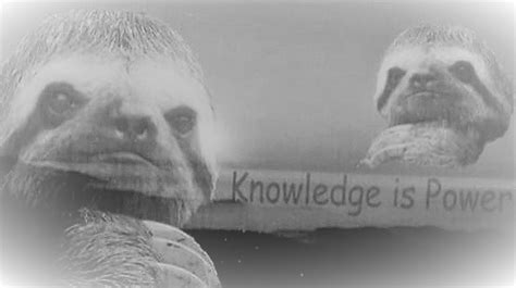 Knowledge Is Power Meme 的图像结果