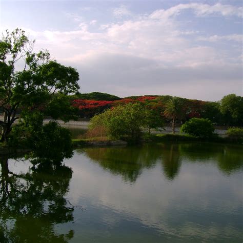 Head To Yediyur Lake Near Basavanagudi For Morning Jogs | LBB