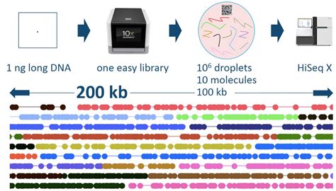10x Genomics Chromium Linked Reads http://www.10xgenomics.com/assembly/