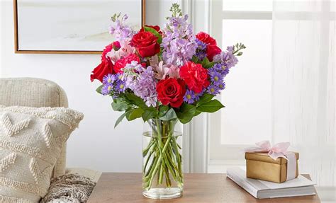 Naples, FL Deals, Coupons & Discounts | Groupon