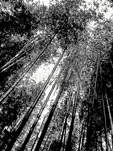 Image result for Negative String Slicing in Python
