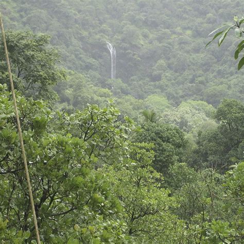 7 Waterfalls In Goa That Are Best Visited In Monsoons 2024 | LBB