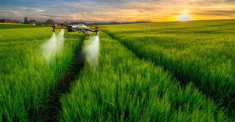 Image result for Add Another Field HTML CSS JavaScript