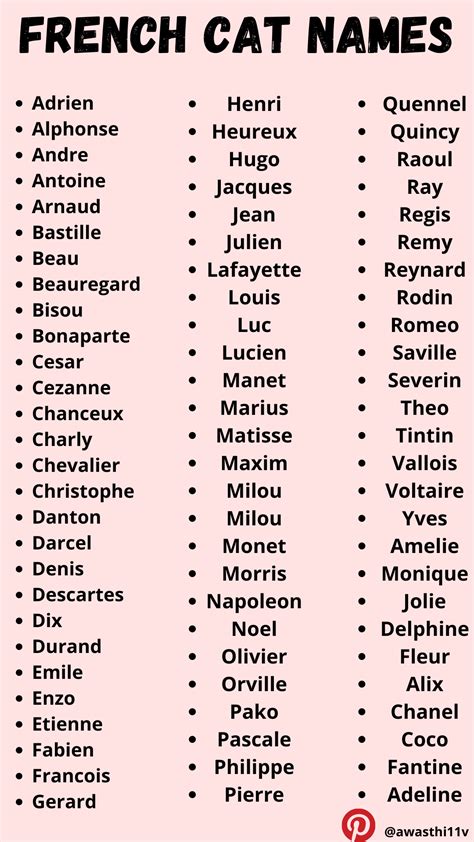 French Cat Names with a Touch of Elegance