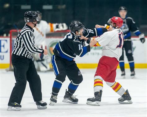 Hockey Fight 的图像结果
