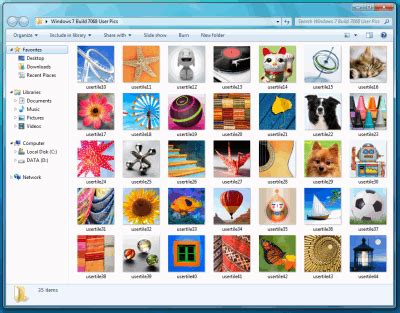 Image result for Windows 7 User Account Icon