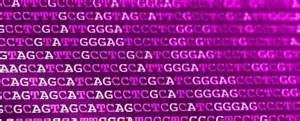 Image result for How to Program DNA