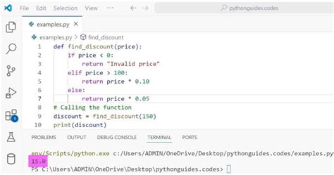 Use If Statements and Return Statement in Python Simple Function 的图像结果