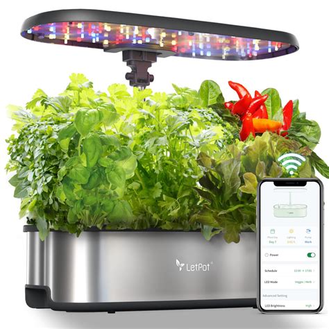 7 Best Indoor Hydroponic Garden Systems 2026
