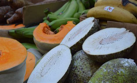 Knowledge Community. Sign 的图像结果