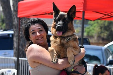 Žena uporedila gubitak psa sa smrću muža svoje sestre: Ovakvu reakciju ...