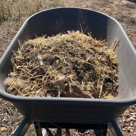 Compost Chicken Manure Fast at Russell Hixson blog