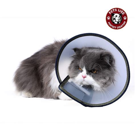 Buy a Premium Elizabethan Collar for Dogs – petslike.in