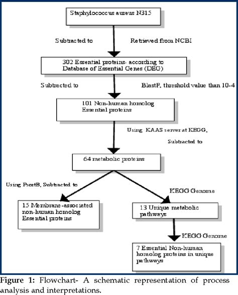 Image result for Staphylococcus Aureus Pathogenicity