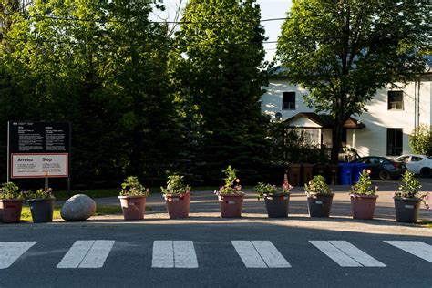 Where U.S.-Canadian Border Is Marked by Petunias, Not a Wall - The New ...