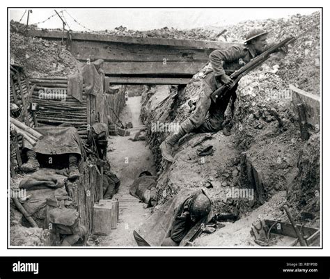 Trench Warfare Ww1 Rats