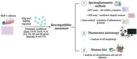 Materials | Special Issue : Antimicrobial Nanocomposites for Biomedical ...