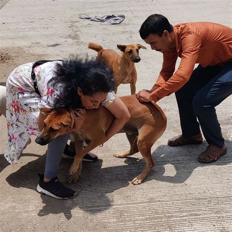 Hope For Paws