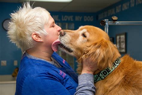 About Us - Dog Gone Beautiful