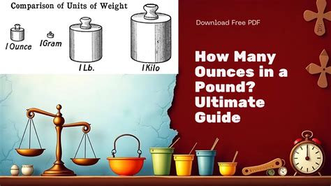 Whats App Web Access 的图像结果