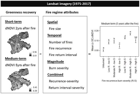 Remote Sensing Applied to the Study of Fire Regime Attributes and Their ...