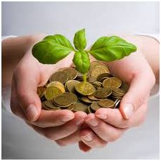 Rook Technologies Pvt Ltd.,