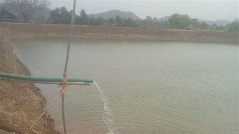 Fish Care: सर्दी में मछलियों को बहुत होती है बीमारी, एक्सपर्ट के ये ...