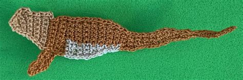 Image result for Crochet Lizard Pattern