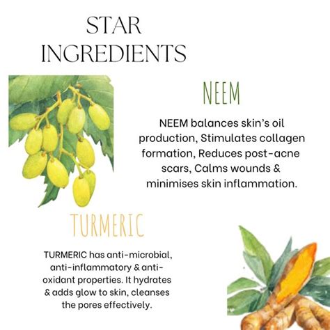 Face Wash For, Oily & Acne prone Skin, Glowing Skin, Cleanses | Natural ...