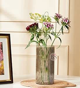 Buy Bs amor Glass Cylinder Vases 6.3 Inch Tall - Multi-use: Pillar ...