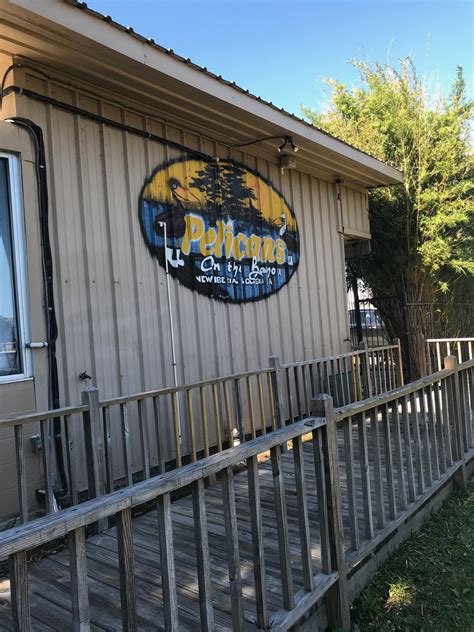 The New Pelicans on the Bayou - DA' STYLISH FOODIE