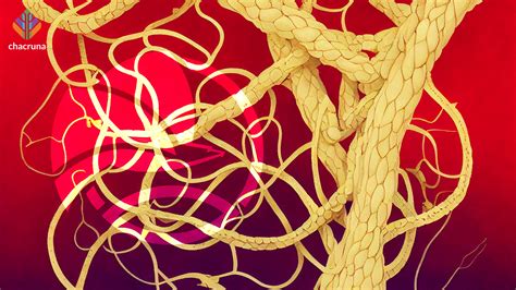 DEA Aya Update WEB - Chacruna