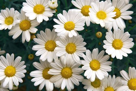 Image result for HTML Framework Practice
