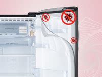 LG 185 L Direct Cool Single Door 5 Star Refrigerator with Smart ...