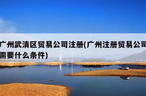广州武清区贸易公司注册(广州注册贸易公司需要什么条件) - 岁税无忧科技