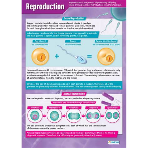 Image result for Reproduction Inseparable