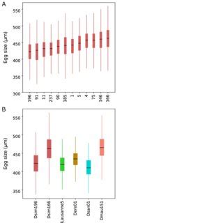 Image result for Egg Distribution Java Source Code