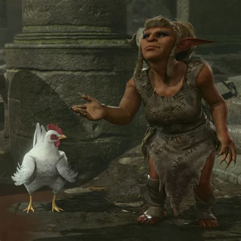 File:Dishevelled Chicken with Krolla.webp - bg3.wiki