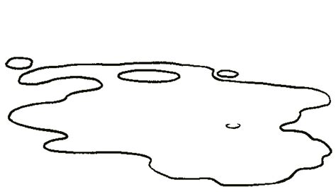 Black Baza Coffee | Indian Specialty Coffee, Biodiversity Friendly ...