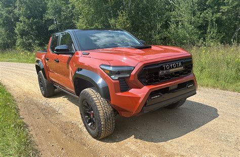 #VOTY2024: The Winner Is… - Victory & Reseda