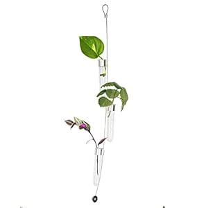 Buy Chive - Hanging and Wall Mount Propagation Vase, 3 Glass Cylinder ...