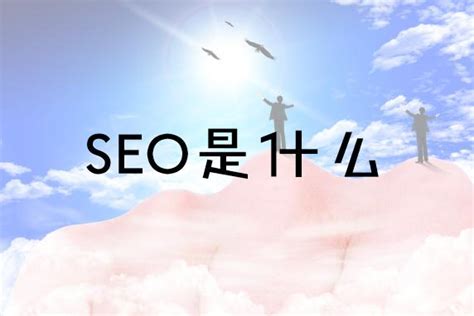 seo网络推广有哪些（目前seo主流的推广的5个方法） - 唐山味儿