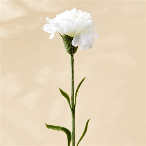 Buy Botanical Florid Artificial Carnation Flower Stick - 60cm from Home ...