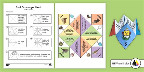Bird Scavenger Hunt Fortune Teller (teacher made) - Twinkl