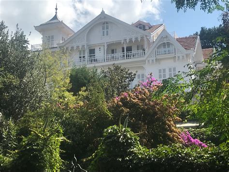 Buyukada Princes’ Island Guided Day Tour with lunch from Istanbul 2025 ...