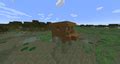 Image result for Minecraft Swamp Hut Tutorial
