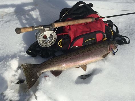 Salmon River Fishing Report | Aggipah River Trips - Salmon, Idaho
