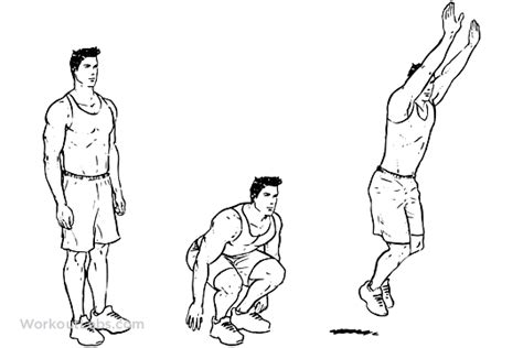 Image result for Frog Jumping Position