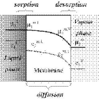 Image result for Diffusion Layer Model for Solid Solution Phase